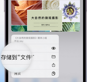 东阳apple维修中心分享iPhone文件应用中存储和找到下载文件