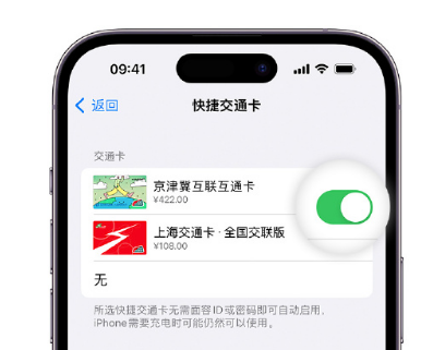 东阳apple维修点分享iPhone上更换Apple Pay快捷交通卡手绘卡面 