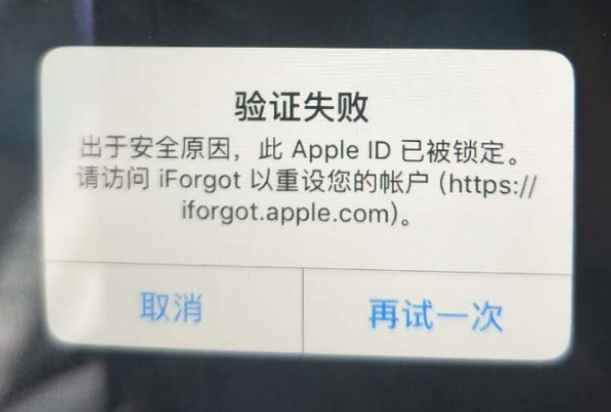 东阳iPhone维修分享iPhone上正常登录或使用AppleID怎么办 