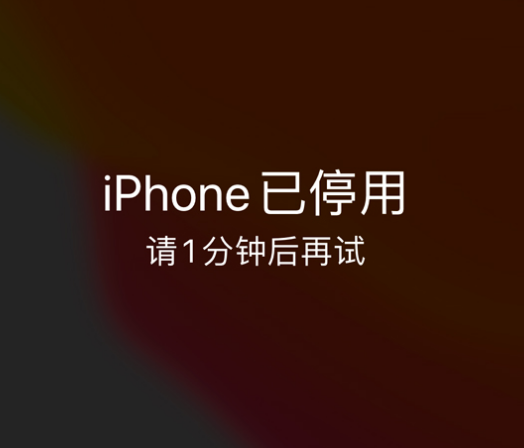 东阳苹果手机维修分享:iPhone 显示“不可用”或“已停用”怎么办？还能保留数据吗？ 