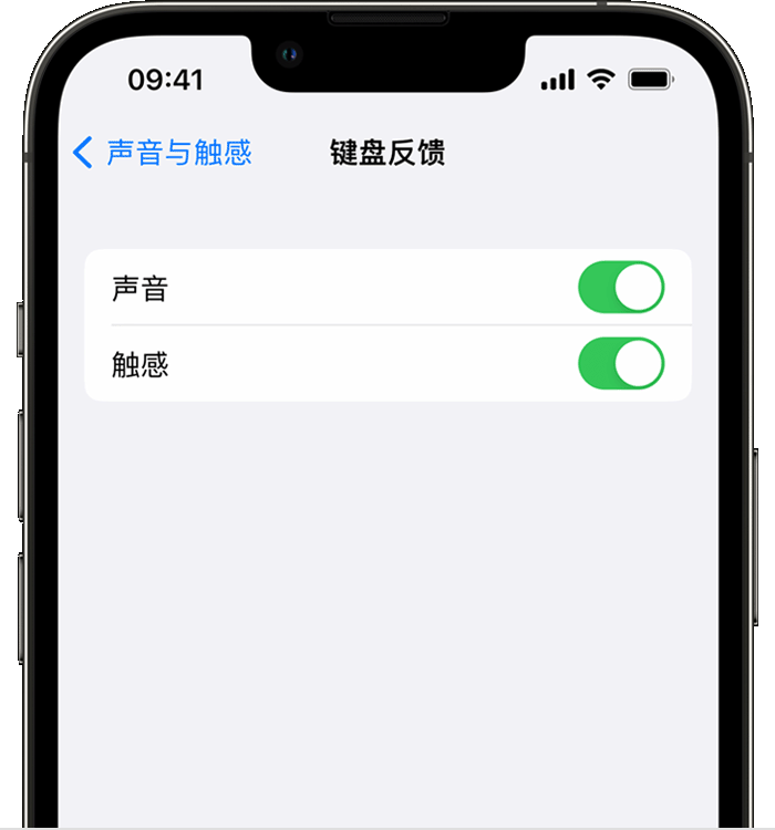 东阳苹果14维修店分享如何在 iPhone 14 机型中使用触感键盘 