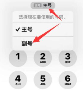 东阳苹果14维修店分享iPhone 14 Pro Max使用副卡打电话的方法 