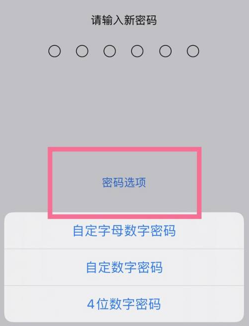 东阳苹果14维修分享iPhone 14plus设置密码的方法 