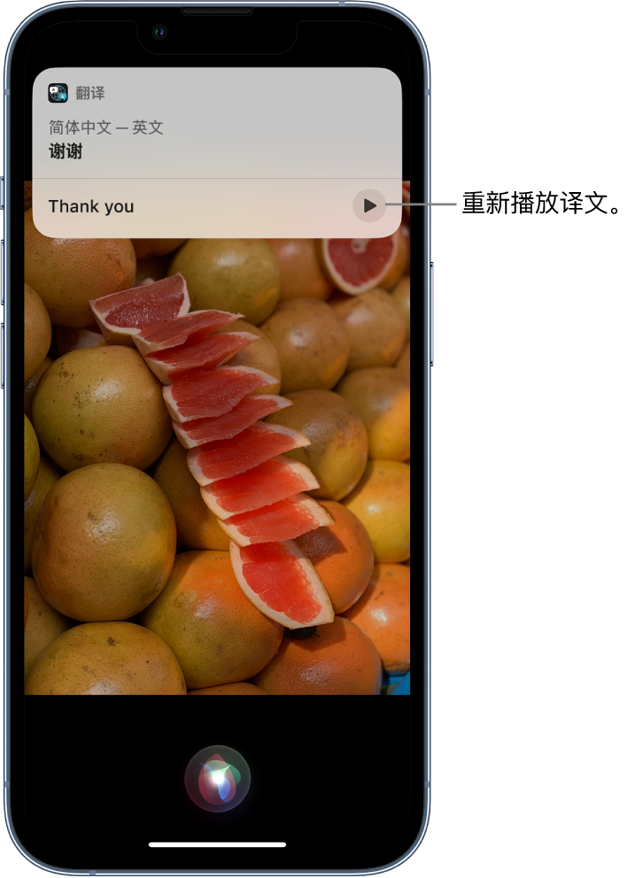 东阳苹果14维修分享 iPhone 14 机型中使用 Siri：了解 Siri 能帮你做什么 