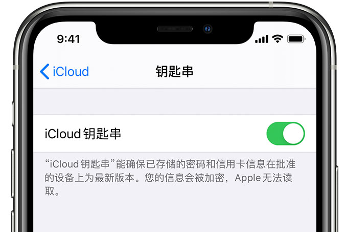 东阳苹果手机维修分享在 iPhone 上开启 iCloud 钥匙串之后会储存哪些信息 