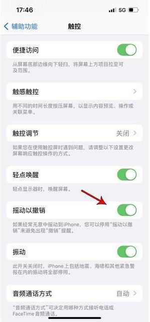 东阳苹果手机维修分享iPhone手机如何设置摇一摇删除文字 