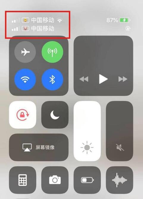 东阳苹果手机维修分享为 iPhone 12 双卡设置标签 
