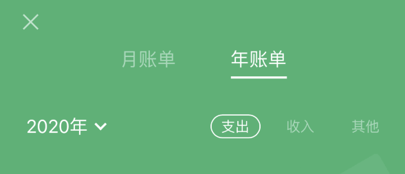 东阳苹果手机维修分享如何在 iPhone 上查看支付宝和微信年支出账单 