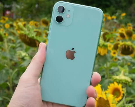 东阳苹果维修点分享iPhone 11锁屏密码认知与使用科普 